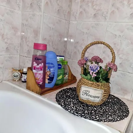 Appartamento Rustico *